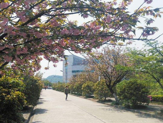 重慶益民技工學(xué)校在哪里、學(xué)校地址